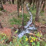 D'hotes A La Montagne, Animaux Acceptes - Fr-1-589-735 לינה וארוחת בוקר ונטרון