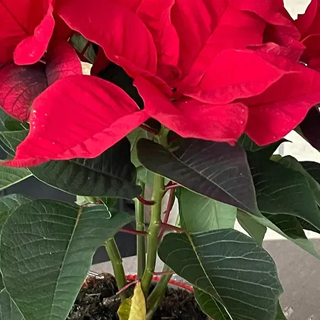 D'hotes A La Montagne, Animaux Acceptes - Fr-1-589-735 Bed & Breakfast *