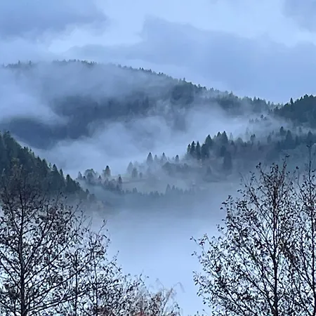 D'hôtes à La Montagne, Animaux Acceptés - Fr-1-589-735 * Ventron