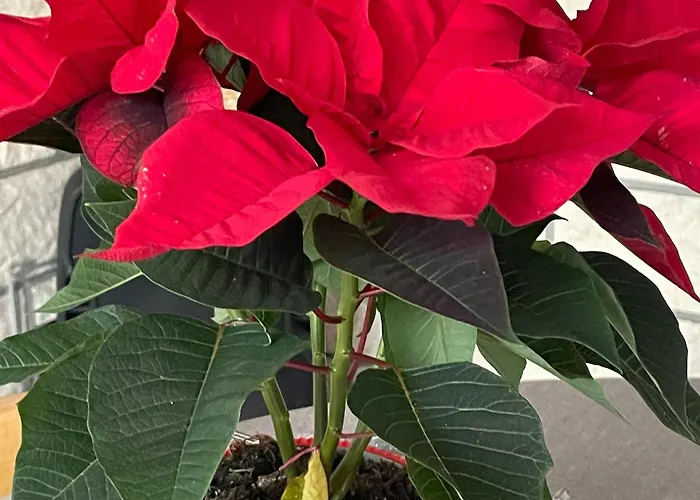 D'hotes A La Montagne, Animaux Acceptes - Fr-1-589-735 Bed & Breakfast *