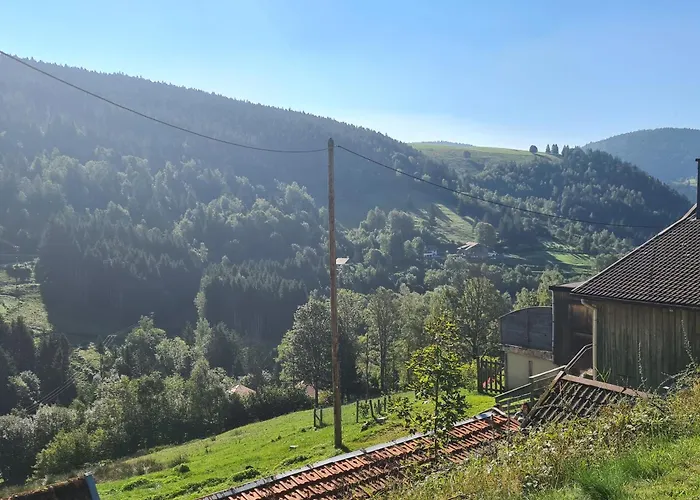 D'hotes A La Montagne, Animaux Acceptes - Fr-1-589-735 Ventron