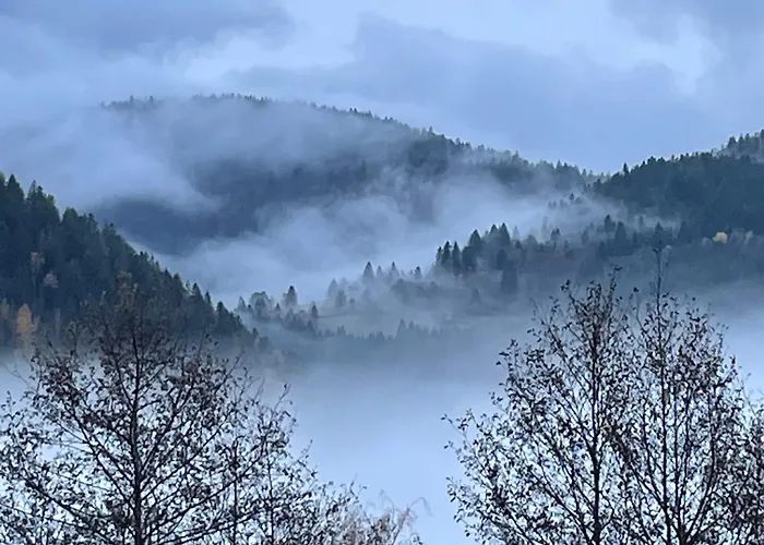 D'hotes A La Montagne, Animaux Acceptes - Fr-1-589-735 * Ventron