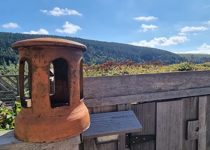 D'hotes A La Montagne, Animaux Acceptes - Fr-1-589-735