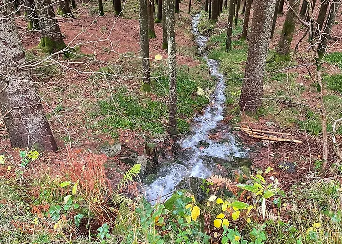 D'hotes A La Montagne, Animaux Acceptes - Fr-1-589-735 Bed & Breakfast Ventron