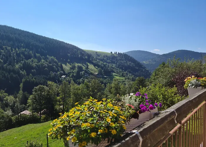 D'hotes A La Montagne, Animaux Acceptes - Fr-1-589-735 Ventron